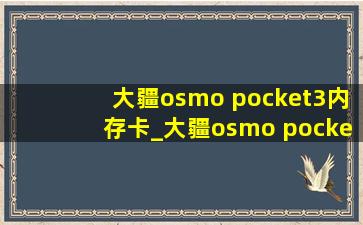 大疆osmo pocket3内存卡_大疆osmo pocket3买什么版本